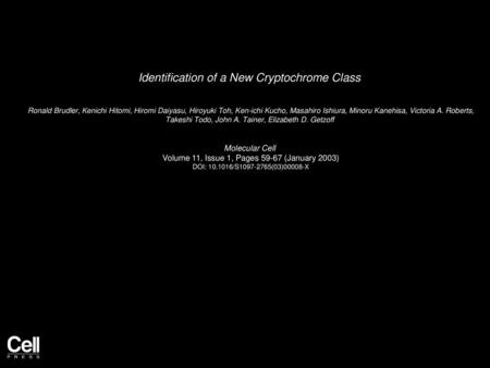 Identification of a New Cryptochrome Class