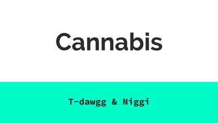 Cannabis T-dawgg & Niggi.