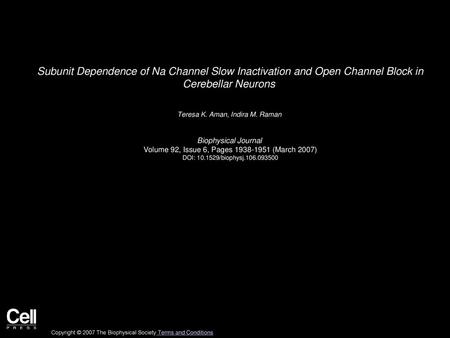 Teresa K. Aman, Indira M. Raman  Biophysical Journal 