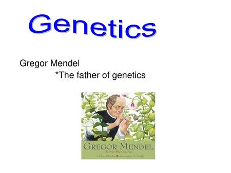 Genetics Gregor Mendel *The father of genetics.