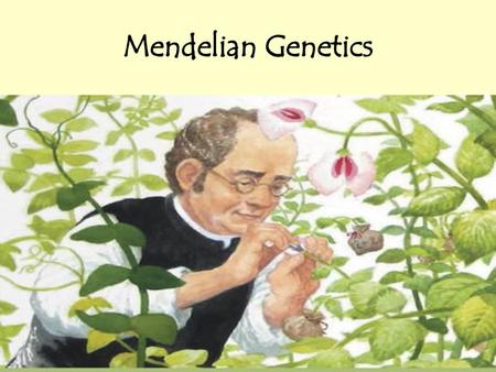 Mendelian Genetics.