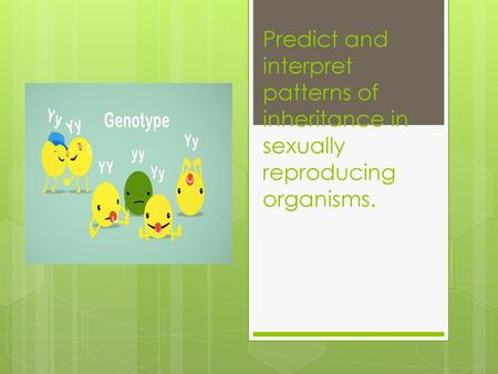 Heredity The passing of characteristics from parent to offspring.