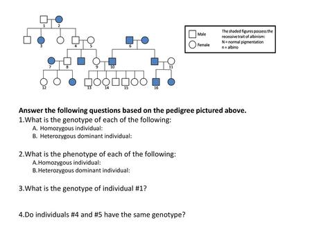 Answer the following questions based on the pedigree pictured above.