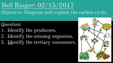 Bell Ringer: 02/15/2017 Objective: Diagram and explain the carbon cycle. Question: Identify the producers. Identify the missing organism. Identify the.