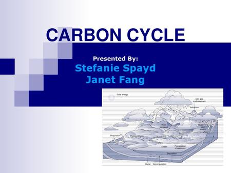 CARBON CYCLE Presented By: Stefanie Spayd Janet Fang.