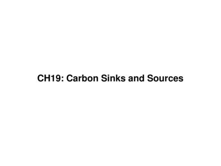 CH19: Carbon Sinks and Sources