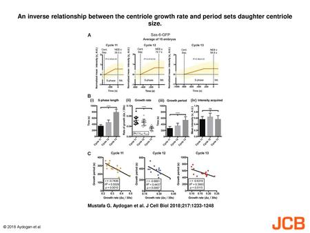 An inverse relationship between the centriole growth rate and period sets daughter centriole size. An inverse relationship between the centriole growth.