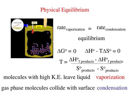 Physical Equilibrium ratevaporization ratecondensation = equilibrium