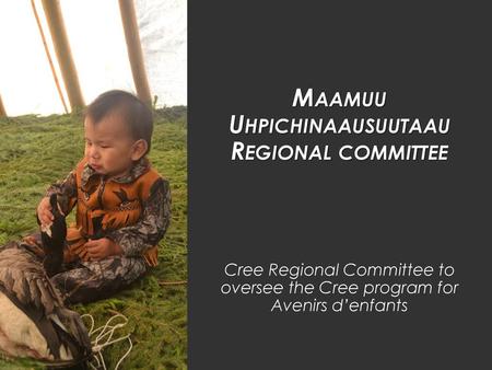 Maamuu Uhpichinaausuutaau Regional committee