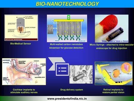 BIO-NANOTECHNOLOGY   Size: 1mm x 1mm x 5mm