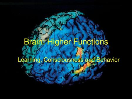 Brain: Higher Functions