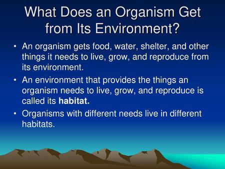 What Does an Organism Get from Its Environment?