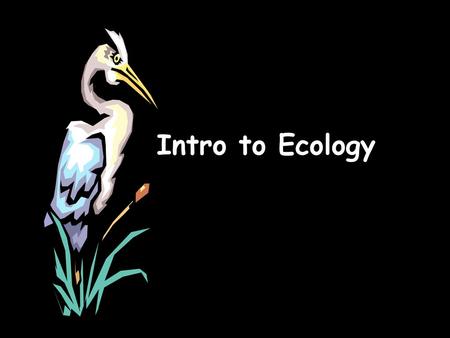 Intro to Ecology.