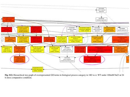 Fig. S12. Hierarchical tree graph of overrepresented GO terms in biological process category in 18O w.r.t. WT under 100mM NaCl at 24 h stress comparative.