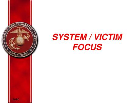 SYSTEM / VICTIM FOCUS.