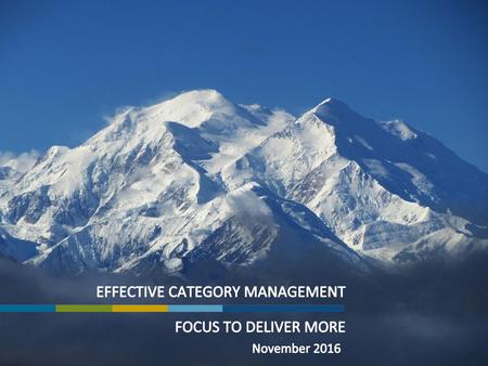 Effective Category management focus to deliver more