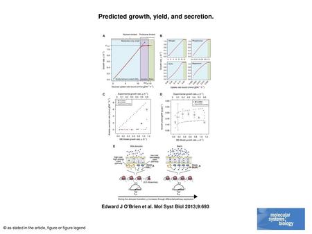 Predicted growth, yield, and secretion.