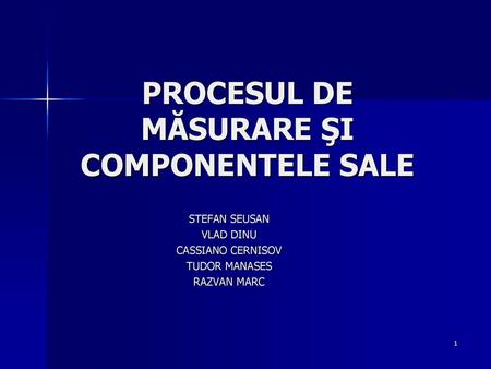 PROCESUL DE MĂSURARE ŞI COMPONENTELE SALE