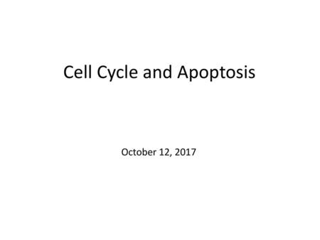 Cell Cycle and Apoptosis