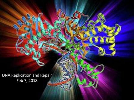 DNA Replication and Repair