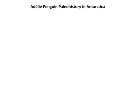 Adélie Penguin Paleohistory in Antarctica