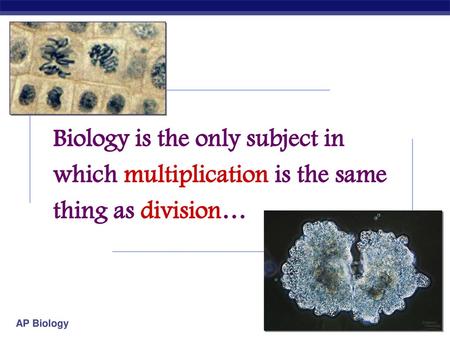 Biology is the only subject in which multiplication is the same thing as division… 2007-2008 1.