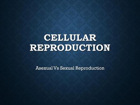 Cellular Reproduction