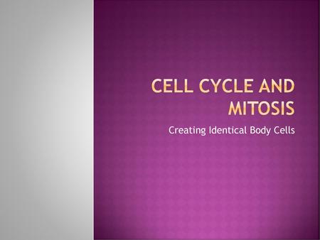 Creating Identical Body Cells