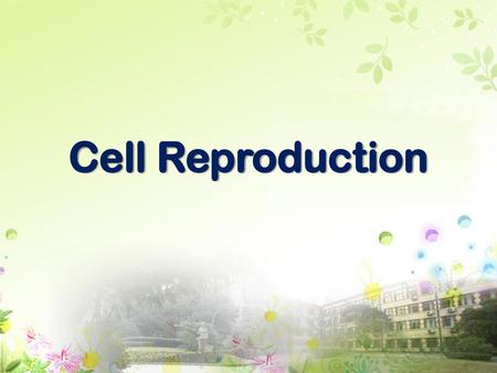 Cell Reproduction.