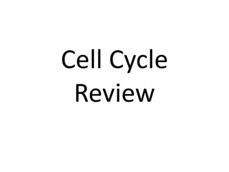 Cell Cycle Review.