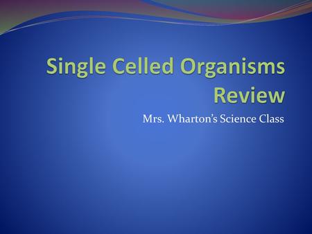 Single Celled Organisms Review