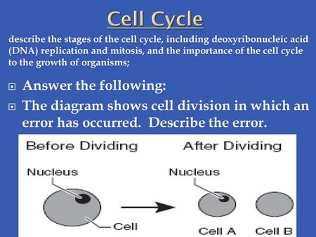 Cell Cycle Answer the following: