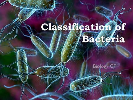 Classification of Bacteria