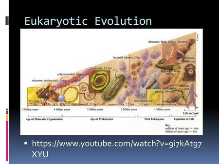 Eukaryotic Evolution https://www.youtube.com/watch?v=9i7kAt97 XYU.