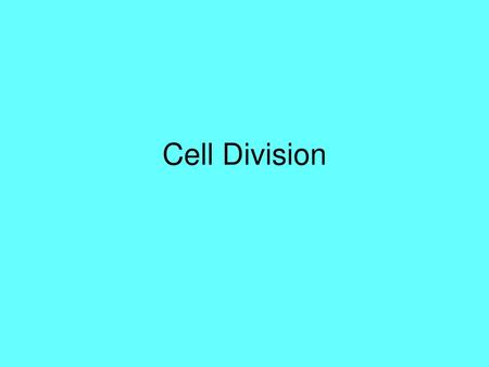 Cell Division.