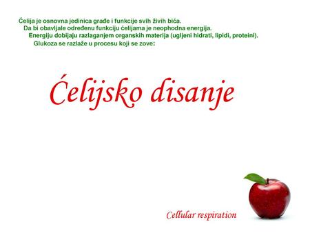 Ćelijsko disanje Cellular respiration