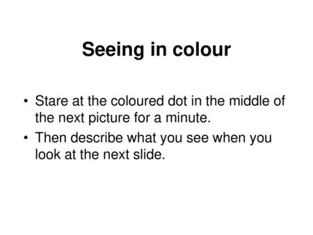 Seeing in colour Stare at the coloured dot in the middle of the next picture for a minute. Then describe what you see when you look at the next slide.