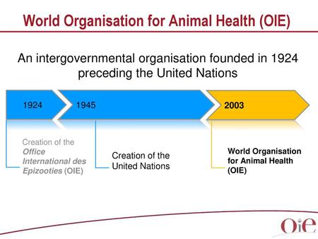 World Organisation for Animal Health (OIE)