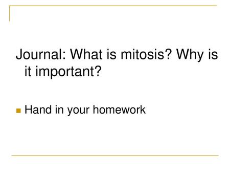 Journal: What is mitosis? Why is it important?