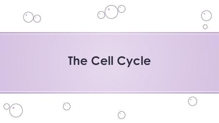 The Cell Cycle.