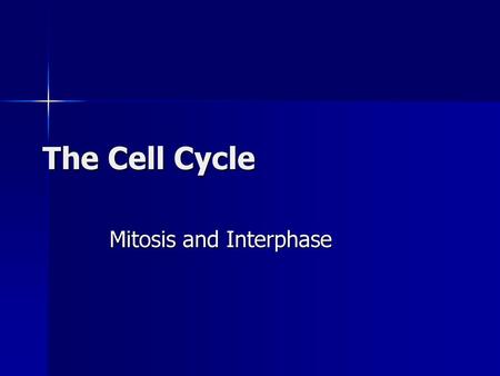 Mitosis and Interphase