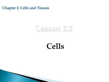 Chapter 2: Cells and Tissues