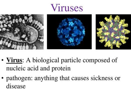 Viruses Virus: A biological particle composed of nucleic acid and protein pathogen: anything that causes sickness or disease.