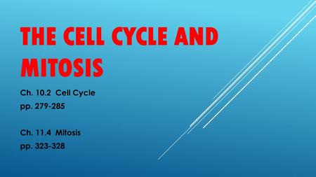 The Cell Cycle and Mitosis