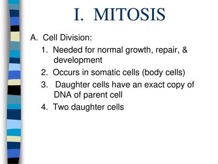 I. MITOSIS A. Cell Division: