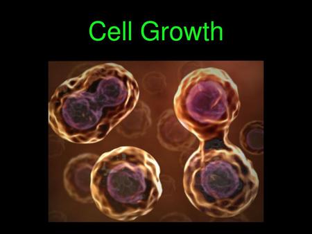 Cell Growth.