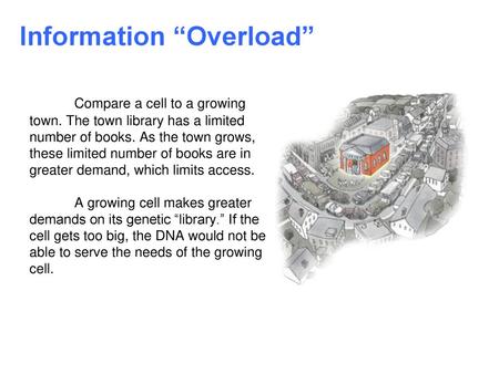 Information “Overload”