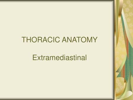 THORACIC ANATOMY Extramediastinal