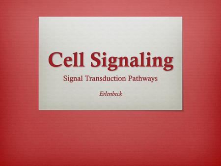 Signal Transduction Pathways Erlenbeck