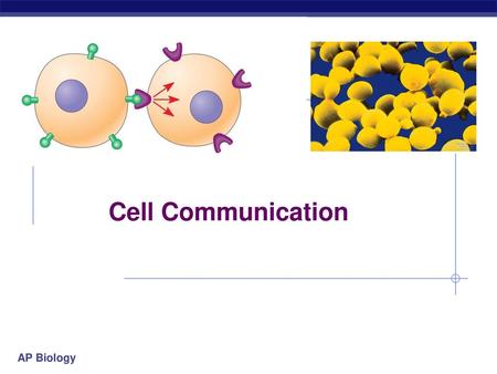 Cell Communication.